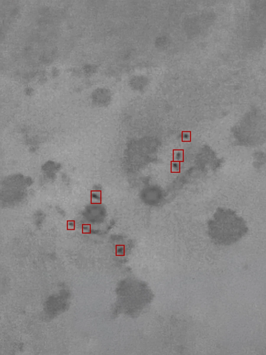 Reconnaissance and Surveillance